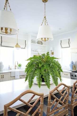 Hollyone 33" Artificial Boston Fern Hanging Basket Large 39 Leaves Fake Ferns in Rattan Pot Greenery Plants for Outdoors & Indoor Faux Fern Bush Basket Plant Patio Garden Home Decor Dusty Green in Kuwait