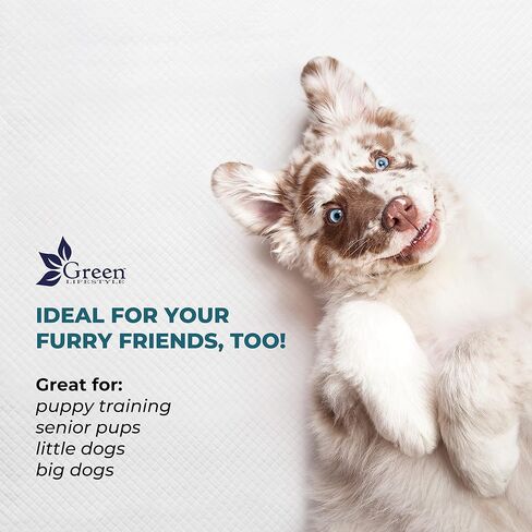 Underpads Green Lifestyle - منصات Chucks التي يمكن التخلص منها البالغين ، لاستخدامها كسلس ، PET ، منصات التبول للكلاب ، القطط ، الأرنب ، كبار السن (حزمة 50 - 36 × 36) in Kuwait