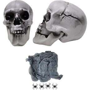 Halloween Haunted House Prop Set 2pc Realistic Plastic Skull Moveable Jaw Plus Stretchable Spider Web and Fake Spiders Day of The Dead Dia De Los Muertos Decorations