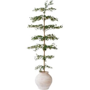 Black Olive Tree Artificial 7 Feet Tall, Artificial Shady Lady Tree, Faux Decorative Tree