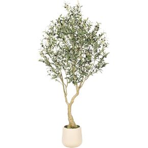 Realead 6ft Artificial Olive Tree with Tall Exquisite Planter - Realistic Faux Olive Tree with Thick Trunk and Lifelike Fruits - Large Fake Olive Tree for Home Office Decor