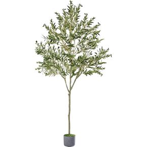 Artificial Olive Tree, 6ft Tall Faux Tree for Indoor with Realistic Olive Tree Branches and Lifelike Fruits, Fake Olive Tree for Modern Home Office Living Room Bathroom Decor Indoor