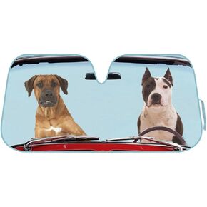 BDK Hundred Dollar Bill Benjamin Franklin Front Windshield Sun Shade - Accordion Folding Auto Sunshade for Car Truck SUV - Blocks UV Rays Sun Visor Protector - Keeps Your Vehicle Cool - 58 x 27 Inch in Saudi Arabia