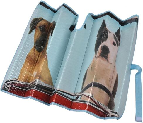 BDK Hundred Dollar Bill Benjamin Franklin Front Windshield Sun Shade - Accordion Folding Auto Sunshade for Car Truck SUV - Blocks UV Rays Sun Visor Protector - Keeps Your Vehicle Cool - 58 x 27 Inch in Saudi Arabia