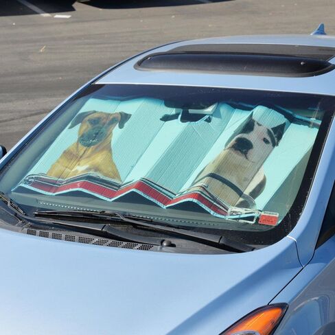 BDK Hundred Dollar Bill Benjamin Franklin Front Windshield Sun Shade - Accordion Folding Auto Sunshade for Car Truck SUV - Blocks UV Rays Sun Visor Protector - Keeps Your Vehicle Cool - 58 x 27 Inch in Saudi Arabia