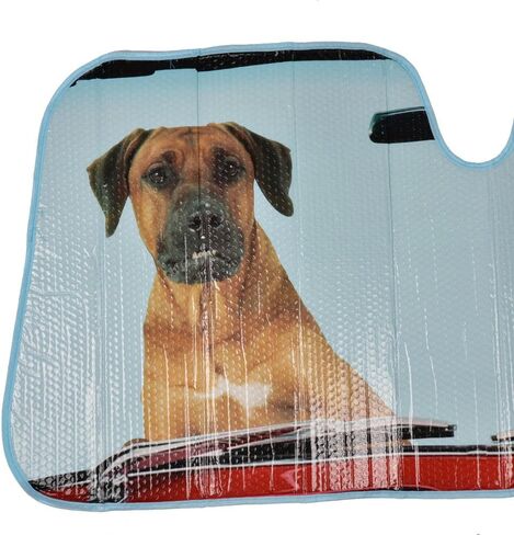 BDK Hundred Dollar Bill Benjamin Franklin Front Windshield Sun Shade - Accordion Folding Auto Sunshade for Car Truck SUV - Blocks UV Rays Sun Visor Protector - Keeps Your Vehicle Cool - 58 x 27 Inch in Saudi Arabia