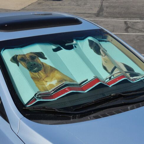 BDK Hundred Dollar Bill Benjamin Franklin Front Windshield Sun Shade - Accordion Folding Auto Sunshade for Car Truck SUV - Blocks UV Rays Sun Visor Protector - Keeps Your Vehicle Cool - 58 x 27 Inch in Saudi Arabia