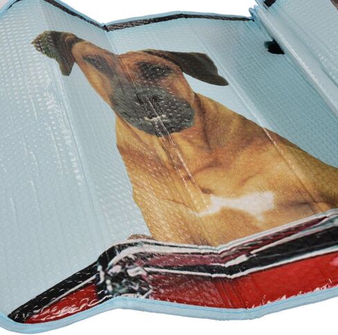 BDK Hundred Dollar Bill Benjamin Franklin Front Windshield Sun Shade - Accordion Folding Auto Sunshade for Car Truck SUV - Blocks UV Rays Sun Visor Protector - Keeps Your Vehicle Cool - 58 x 27 Inch in Saudi Arabia