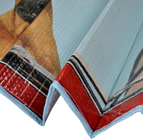 BDK Hundred Dollar Bill Benjamin Franklin Front Windshield Sun Shade - Accordion Folding Auto Sunshade for Car Truck SUV - Blocks UV Rays Sun Visor Protector - Keeps Your Vehicle Cool - 58 x 27 Inch in Saudi Arabia