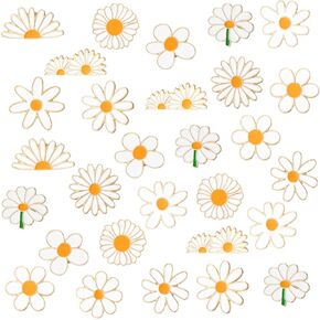 Yinkin 24 Pcs Daisy Lapel Pins Daisy Flower Brooch Women Spring Buttons Safety Push Pin Buckle for Shirt Hat