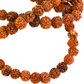 معتمدة من الهيمالايا الطبيعية 5 وجه رودراكشا مالا - 20 ملم الحجم الكبير الأصلي المسبحة الأصلية لسباق قلادة التبتية الدينية حبات اليوغا للتأمل
