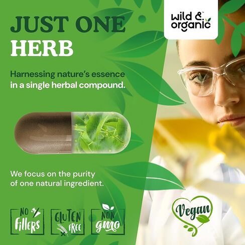 Wild & Organic Gotu Kola Capsules 600 mg - Brain & Focus Support - Gotu Kola Powder Supplement - Centella Asiatica Extract - 60 Days of Supply - Vegan, No Fillers, Non-GMO - 60 Count in Saudi Arabia