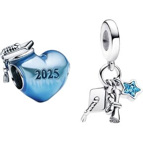 Charms Beads 925 Sterling Silver Heart Flower Owl Book Pendant with 5A Cubic fits for Charms Bracelets for Woman Mother's Day Christmas Halloween Birthday Gift School Finish