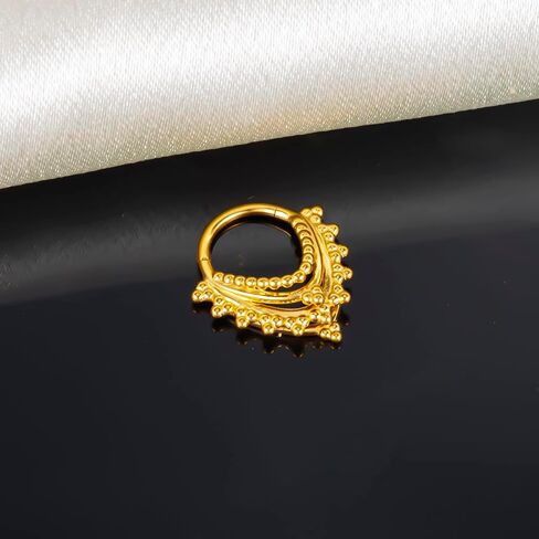 DOEARKO 16G Septum Ring 8mm Fashion Nose Rings Cartilage Hoop Segment Septum Clickers 316L Stainless Steel Piercing Body Jewelry in Saudi Arabia