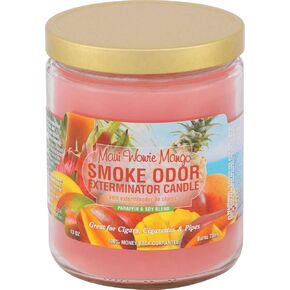 Smoke Odor Exterminator 13oz Jar Candle, Maui Wowie Mango