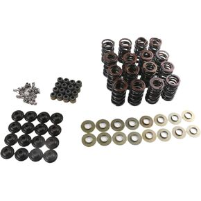 SK001S SK001 Dual Valve Spring Platinum Kit with Retainers Compatible with LS LS1 LS2 LS3 LS4 LS6 L76 L92 L99 LQ4 LQ9 L33 LSA 4.8L 5.3L 6.0L 6.2L