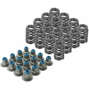 16Pcs Valve Springs, Replacement .560" Lift Beehive Valve Springs w/Seals Compatible with Chevy Gen II III IV LS, 12482063 12499224 12586484