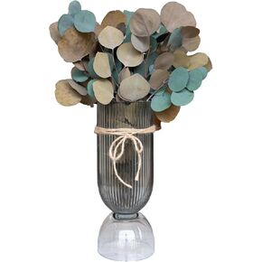 Green+Orange Large Silver Dollar Eucalyptus - Real Natural Eucalyptus, 17" Preserved Eucalyptus Branches for Shower Hanging, Bathroom Decor, Garland, Greenery Plant