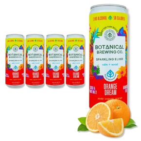 Brewing Brewing Orange Dream - Kava Drink with Kava Root Extract | مشروب الاسترخاء المنعش مع Kava Seltzer البراقة | خالية من الغلوتين ، نباتي وتراجع منخفضة | تحيا بشكل طبيعي مع الصبار | 12 أوقية علب ، 4 عبوات