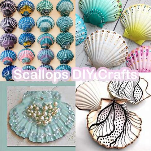 Large White Natural Scallop Seashells 3-4 Inch 12 Pack Decorative Sea Shells for DIY Painting Projects,Coastal Crafts,Beach Theme Decor,Wedding Centerpieces, Aquarium Decorations,Vase Fillers in Saudi Arabia