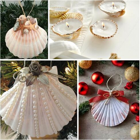 Large White Natural Scallop Seashells 3-4 Inch 12 Pack Decorative Sea Shells for DIY Painting Projects,Coastal Crafts,Beach Theme Decor,Wedding Centerpieces, Aquarium Decorations,Vase Fillers in Saudi Arabia