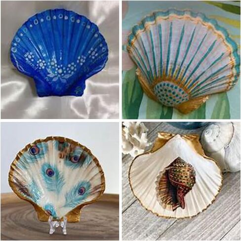 Large White Natural Scallop Seashells 3-4 Inch 12 Pack Decorative Sea Shells for DIY Painting Projects,Coastal Crafts,Beach Theme Decor,Wedding Centerpieces, Aquarium Decorations,Vase Fillers in Saudi Arabia