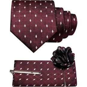 RBOCOTT Plaid Checkered Ties for Men Necktie and Pocket Square with Tie Clip Lapel Pin Set 4PCS