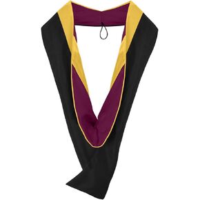 Endea Graduation Masters Hood for Science, Mathematics, Political Science, College Degrees - University Academic Regalia