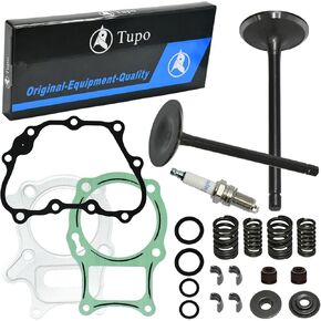 طقم مجموعة صمامات محرك Tupo و SUPLESS CASKET متوافقة مع Honda TRX250 RECO 250 SPORTRAX 250 CALINDER HEAD STET SET ATV ​​2002-2024