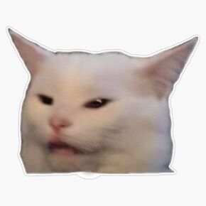WSQ تلطخ ملصق MEME CAT ملصق VINYL PUMPER ملصق ملصق ماء 5 "