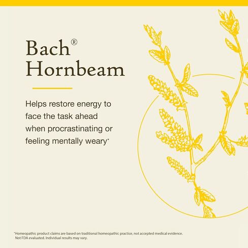 Bach Original Flower Elecsies ، Hornbeam - المماطلة أقل - جوهر زهرة المعالجة المثلية الطبيعية للتوازن العاطفي - نباتي وخالي من الغلوتين وخالي من السكر - 20 مل قطرة in Saudi Arabia