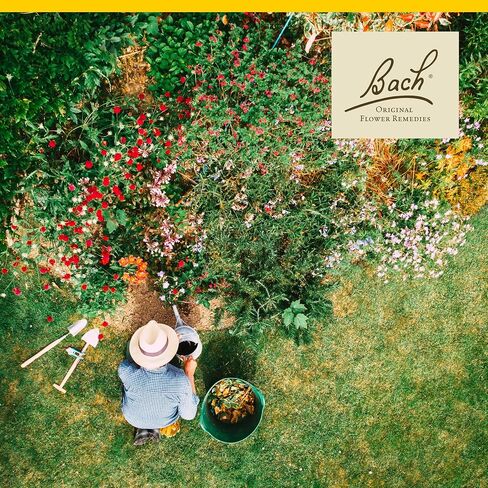 Bach Original Flower Elecsies ، Hornbeam - المماطلة أقل - جوهر زهرة المعالجة المثلية الطبيعية للتوازن العاطفي - نباتي وخالي من الغلوتين وخالي من السكر - 20 مل قطرة in Saudi Arabia