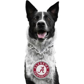 Littlearth NCAA Pet Fain Chain