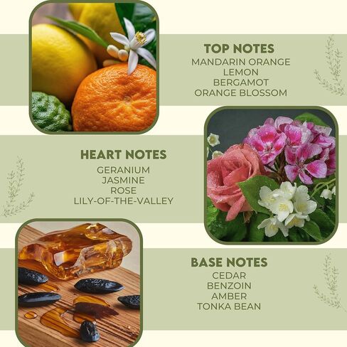 زيت عطر ديفينيز كوفي ارابيكا (30 مل) - للناشرين والعلاج العطري والمنزل، DIY، معطر الهواء، صناعة الشموع بنفسك in Saudi Arabia
