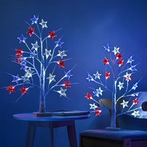 Snokip Lighted Birch Tree, 1.5ft 18 LED Tabletop Tree Lights, Battery Operated Table Decoration Lights for Indoor Christmas Wedding Party Holiday Home Bedroom