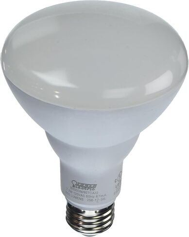 Feit Electric PAR38 LED Bulbs, 75W Equivalent, Non Dimmable, LED Flood Light Bulbs, 10 Year Life, 750 Lumens, 3000k Warm White, E26 Base, Damp Rated, 2 Pack, PAR3875/10KLED/2 in Saudi Arabia