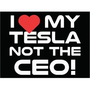 أحب Tesla ، وليس الرئيس التنفيذي لها-Musk Musk Vinyl Cut 3.7 × 5 بوصة للمغناطيس للسيارات والشاحنات والزجاج والثلاجات وأكثر من ذلك-مغنطيس مصلح وقابل للإزالة لمحبي تسلا