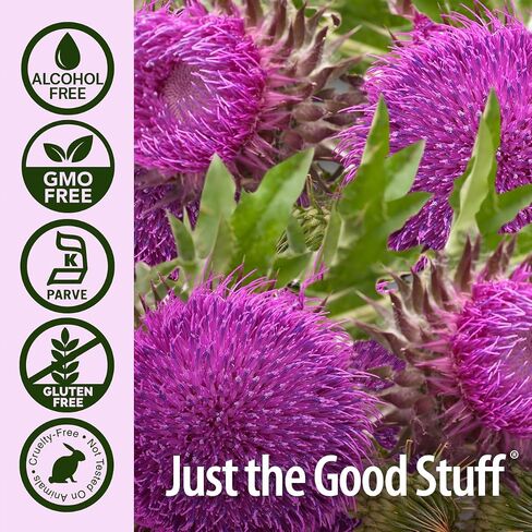 استخراج Nature's Asse Milk Thistle 2 أوقية - خالية من الكحول ، غير الكائنات المعدلة وراثيًا ، ملحق دعم الكبد للجميع - إزالة السموم من الكبد ، المصنوع في الولايات المتحدة الأمريكية in Kuwait