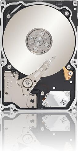 Seagate Constellation.2 250 GB 7200RPM SATA 6Gb/s 64MB Cache 2.5 Inch Internal Bare Drive ST9250610NS in Saudi Arabia