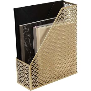 BLU MONACO Gold Magazine File Holder - Decorative Magazine Holder for Desk - Metal Magazine Holders for Shelves - Magazine Organizer Bin - Book Holder and File Boxes