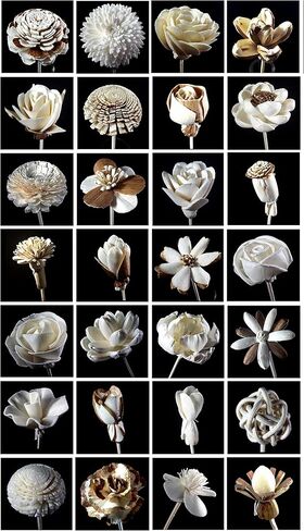 D32، مجموعة الروائح العلاجية 10 ناشر زهور مختلفة الاختلاف من خشب سيسبانيا مع 20 جرام من قصب السمسم ونمط فرع قضيب الروطان للرائحة، أبيض، صغير in Kuwait