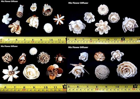 D32، مجموعة الروائح العلاجية 10 ناشر زهور مختلفة الاختلاف من خشب سيسبانيا مع 20 جرام من قصب السمسم ونمط فرع قضيب الروطان للرائحة، أبيض، صغير in Kuwait