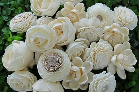 D32، مجموعة الروائح العلاجية 10 ناشر زهور مختلفة الاختلاف من خشب سيسبانيا مع 20 جرام من قصب السمسم ونمط فرع قضيب الروطان للرائحة، أبيض، صغير in Kuwait