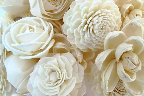 D32، مجموعة الروائح العلاجية 10 ناشر زهور مختلفة الاختلاف من خشب سيسبانيا مع 20 جرام من قصب السمسم ونمط فرع قضيب الروطان للرائحة، أبيض، صغير in Kuwait