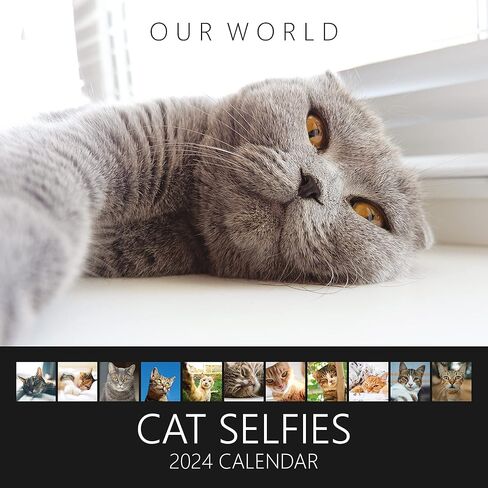 Cat Calendar 2024, Cat Selfies Wall Calendar 2024 - Family Planner & Daily Organizer with Cute Monthly Cats Images - Slim Design 2024 Wall Planner - Great Gift for Cat & Kitten Lovers by Our World in Kuwait
