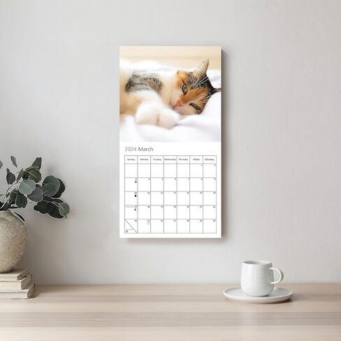 Cat Calendar 2024, Cat Selfies Wall Calendar 2024 - Family Planner & Daily Organizer with Cute Monthly Cats Images - Slim Design 2024 Wall Planner - Great Gift for Cat & Kitten Lovers by Our World in Kuwait