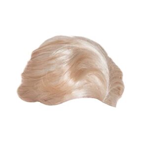United States of Oh My Gosh Donald Trump Wig Costume - #1 Quality Wind-Tested Donald Trump Costume Wig - Hairspray NOT Included