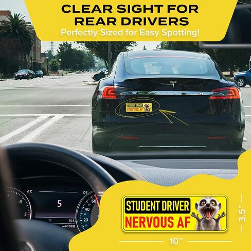 Student Driver Magnet for Car - Funny Animals Please Be Patient Reflective Magnetic Bumper Sticker - Removable Novice Rookie Safety Attention Sign - Weather-Resistant - 10 x 3.5 in (Meerkat) in Saudi Arabia