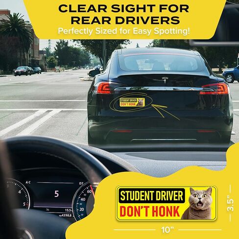 طالب سائق مغناطيس للسيارة - حيوانات مضحكة يرجى التحلي بالمرضى ملصق مصد مغناطيسي عاكس - علامة انتباه السلامة المبتدئة القابلة للإزالة - مقاومة للطقس - 10 × 3.5 في (Meerkat) in Kuwait