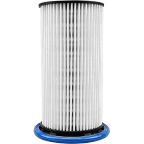 Diesel Fuel Filter Fit for Volkswagen Passat Jetta Golf SportWagen Golf 2015 Fit for Audi A3 2015-2016 2L Replace DF99187